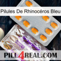 Pilules De Rhinocéros Bleu new12